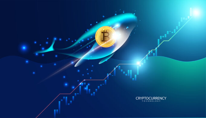 Crypto Whales diversify their portfolios