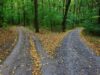 Two block Bitcoin fork shows the risk of enforcing rules too early